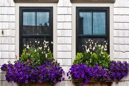 در این مورد متعصب باشید تا عمرتان زیاد شود