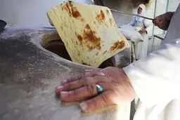 ۲ برابر شدن یارانه خرید تضمینی گندم و نان