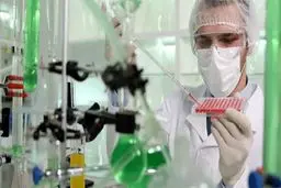 استرس در اول زندگی موجب افزایش طول عمر خواهد شد