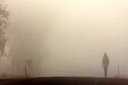 روح کسی که مرده به دیدن خانواده‌اش می‌آید؟