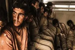 «۲۳ نفر» و «تیغ و ترمه» از چهارشنبه اکران می‌شود