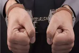 بازداشت یکی از حامیان جریان فتنه ۸۸ پس از ورود به کشور