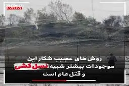 فیلم: گوشت مهمانان روس در سفره ایرانیان!