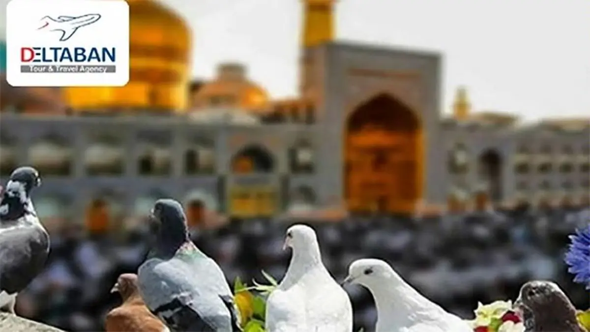 بهترین تور مسافرتی مشهد