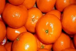 ماجرای نارنگی کرم‌دار چیست؟