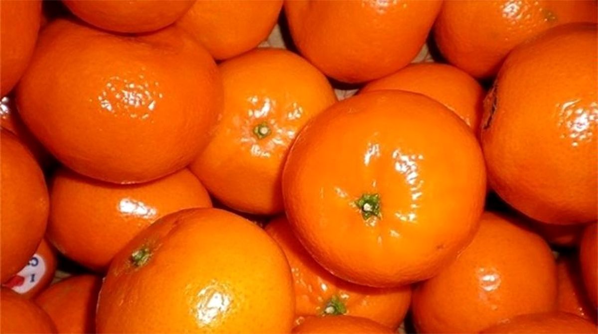 ماجرای نارنگی کرم‌دار چیست؟