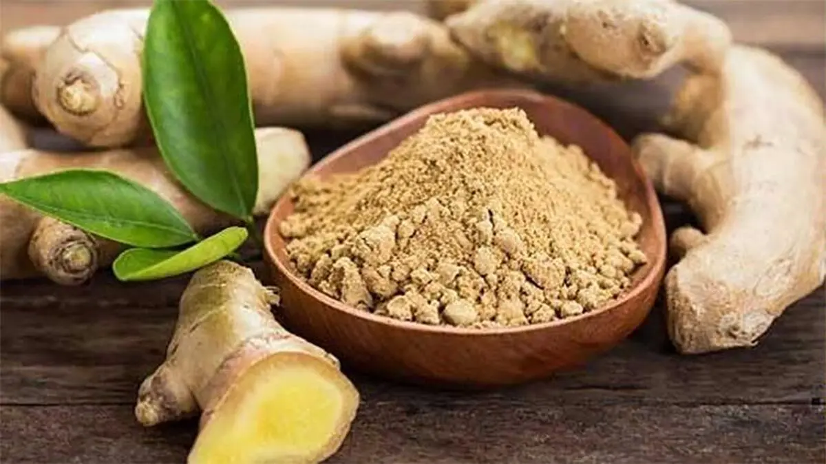 گیاهی که نابودگر تومور‌های مغزی است!