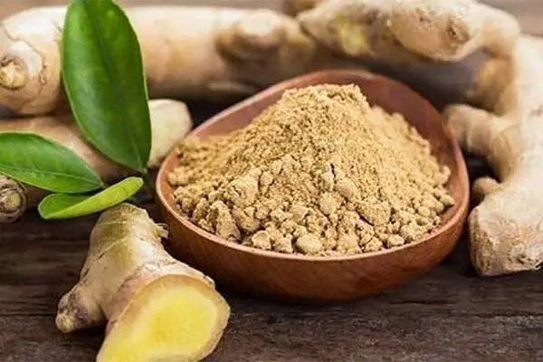 گیاهی که نابودگر تومور‌های مغزی است!