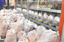 مشکلی در تامین مرغ و گوشت مورد نیاز نداریم