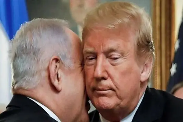 داستان گرگ هایی که در لباس میش‌اند