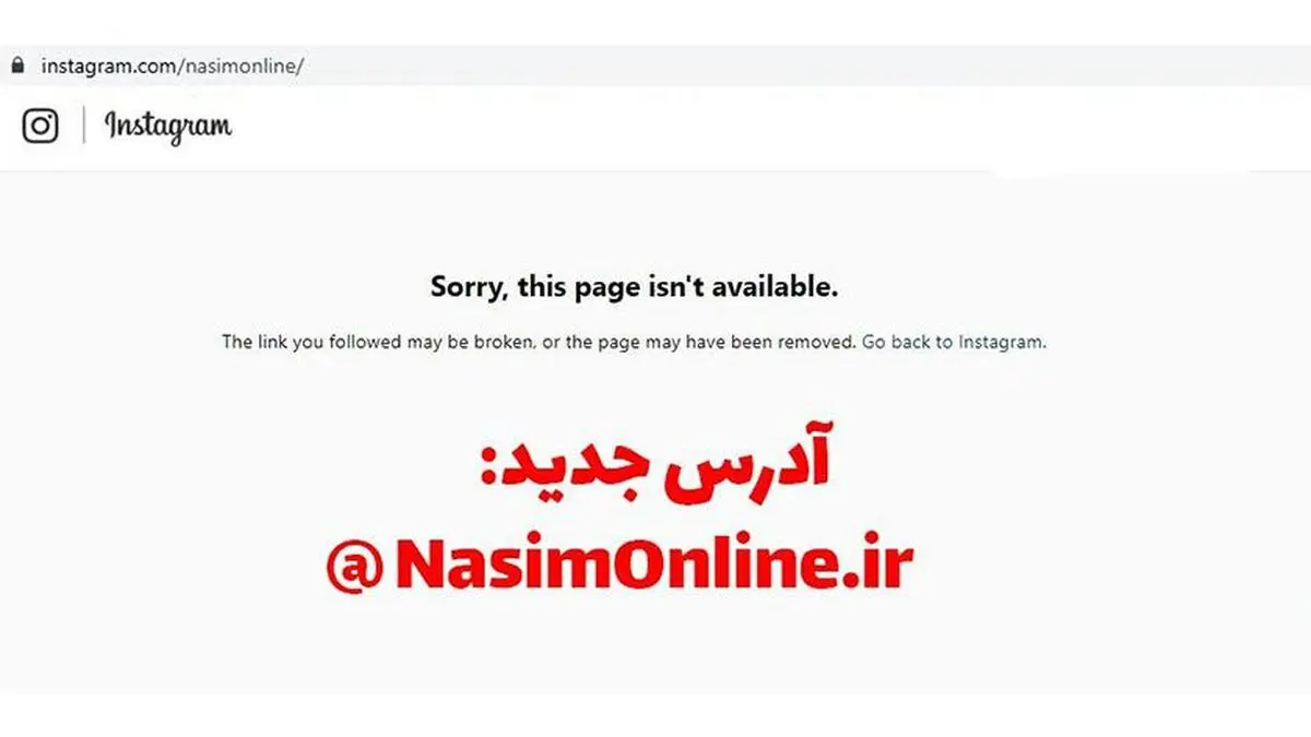 اینستاگرام اکانت «نسیم آنلاین» را بست