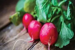 این سبزی اشتهایتان را سرکوب می‌کند