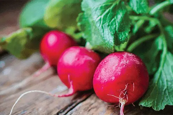 این سبزی اشتهایتان را سرکوب می‌کند