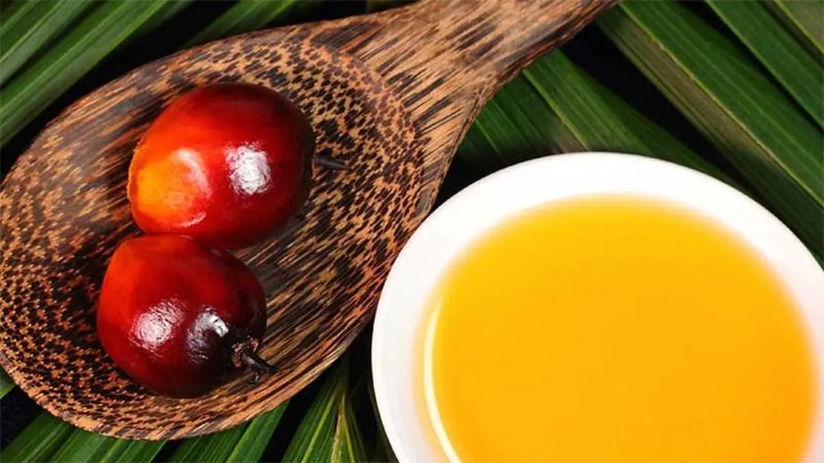 ضرر روغن پالم مالزی از یک دعوای سیاسی