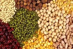 تعیین قیمت خیالی حبوبات توسط سازمان حمایت