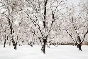 ۴ واحد دانشگاه آزاد اسلامی تعطیل شد