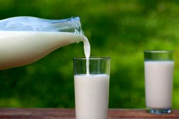 آلودگی شیر در کمیسیون کشاورزی مجلس هم رد شد