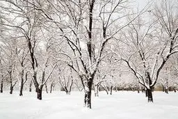 بارش برف و باران تا پنجشنبه ادامه دارد