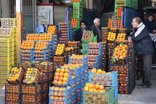 عرضه ۵۳ هزار تن سیب و پرتقال برای شب عید