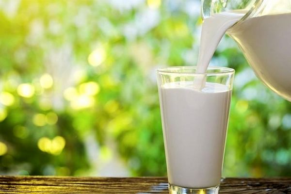 مصرف شیر کم چرب موجب افزایش طول عمر می شود