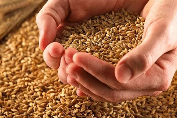 ماده غذایی که موجب استحکام استخوان‌ها می‌شود