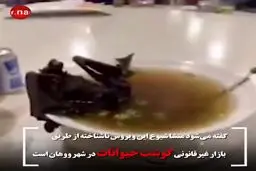 فیلم: کرونا؛ ویروسی عجیب، کشنده و مرموز