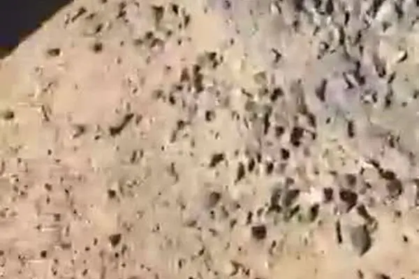 فیلم: زیارت قبور مطهر ائمه بقیع دور از چشم نیروهای وهابی