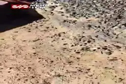 فیلم: زیارت قبور مطهر ائمه بقیع دور از چشم نیروهای وهابی