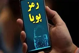رمز دوم پویا از ۸ بهمن‌ به طور تدریجی اجباری می‌شود