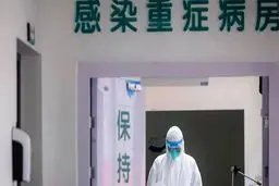 کرونا نفت را به زیر کشید