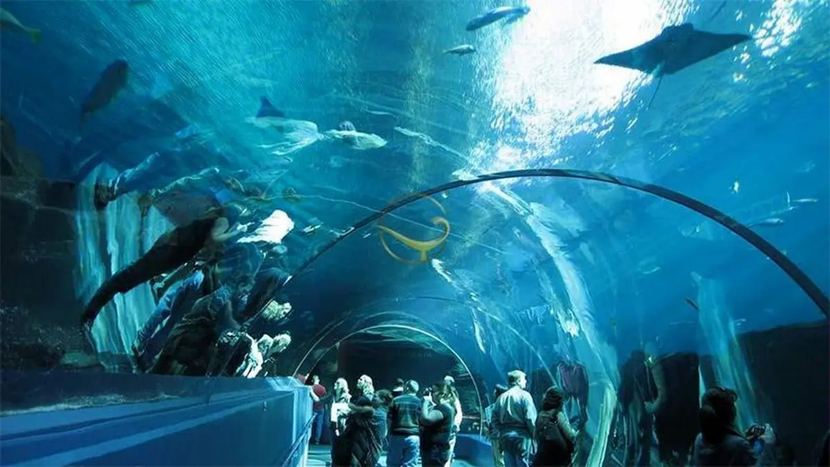 دو جاذبه ی مهم در سفرهای محبوب گردشگران