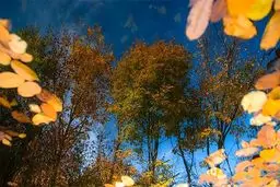 آسمانی صاف در کشور تا روز جمعه