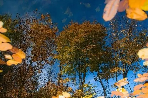 آسمانی صاف در کشور تا روز جمعه