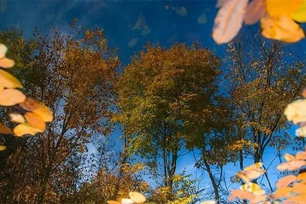 آسمانی صاف در کشور تا روز جمعه