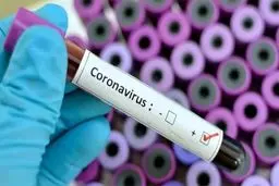 شمار مبتلایان کرونا در آلمان افزایش یافت