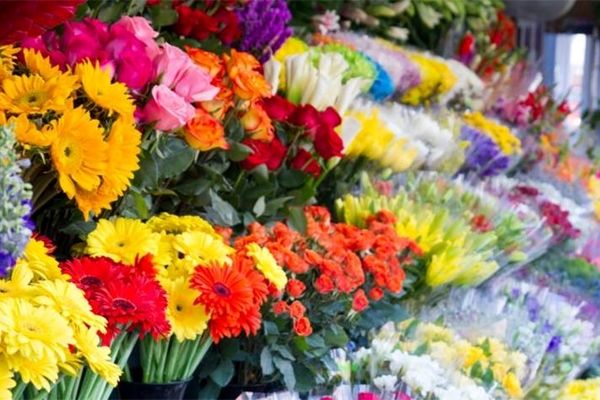 وضعیت بازار گل در آستانه فرارسیدن روز مادر