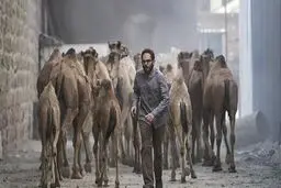 مستر ربات؛ نگاهی به فیلم «روز بلوا»