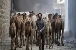 مستر ربات؛ نگاهی به فیلم «روز بلوا»