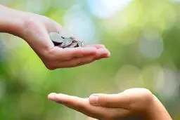 صدقه به غریبه مورد قبول است، وقتی فامیل نیازمند داریم؟