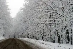 فردا در این استان‌ها ۱۳۰سانتی‌متر برف می‌بارد