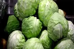 کلم با بیماری کبد چرب مقابله می کند