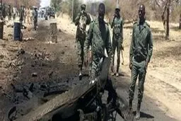 در حمله مسلحانه به روستایی در مالی ۲۰ نفر کشته شدند