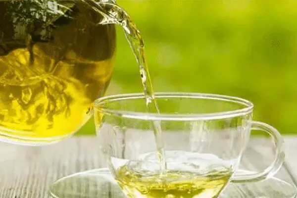 چای سبز یک نوشیدنی مفید برای بهبود کبد چرب