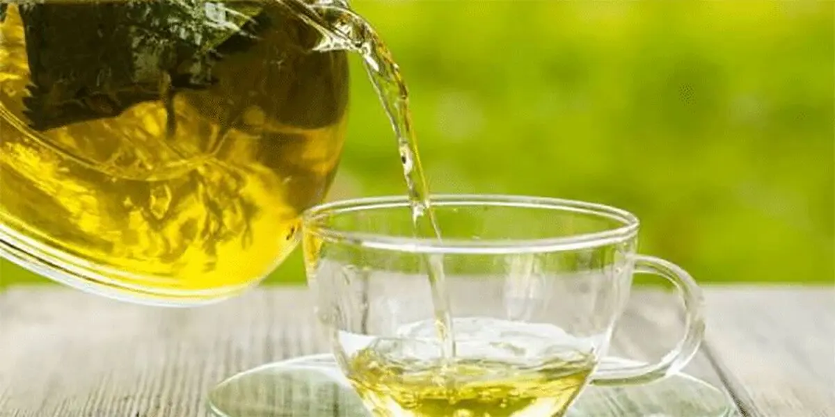 چای سبز یک نوشیدنی مفید برای بهبود کبد چرب