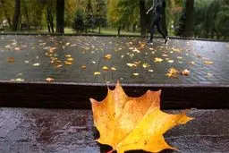 جدول: کاهش ۱۴ درصدی بارندگی نسبت به سال گذشته