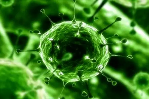 مردم نگران نباشند؛ کرونا قابل پیشگیری است