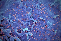 عراق تردد متقابل شهروندان خود و ایران را برای ۱۵ روز ممنوع کرد