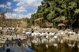 باغ پرندگان تهران تعطیل شد