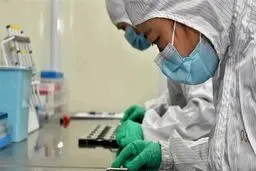 تلفات روزانه کرونا در چین رو به کاهش است