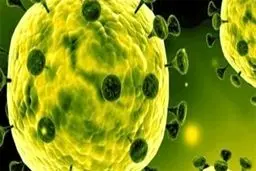 جدیدترین آمار کرونا در ۳ کشور عربی